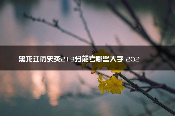 黑龙江历史类213分能考哪些大学 2025考生稳上的大学名单