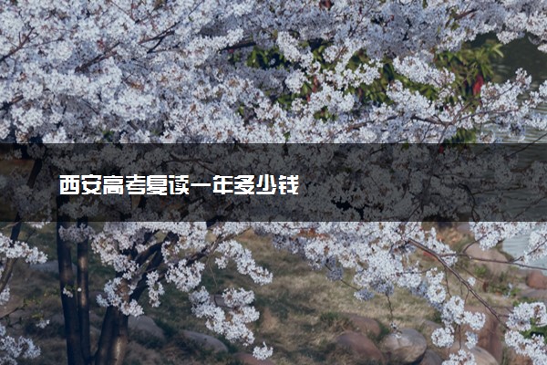 西安高考复读一年多少钱