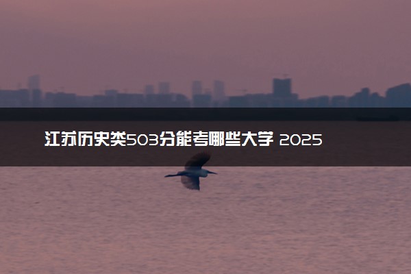 江苏历史类503分能考哪些大学 2025考生稳上的大学名单