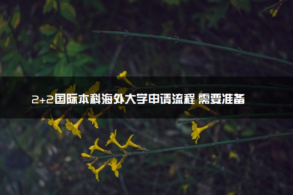 2+2国际本科海外大学申请流程 需要准备些什么