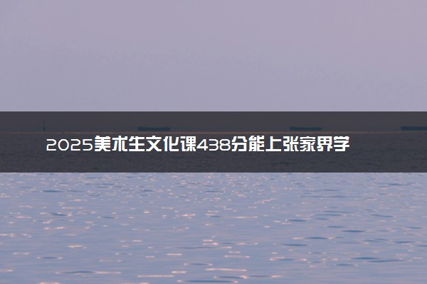 2025美术生文化课438分能上张家界学院吗