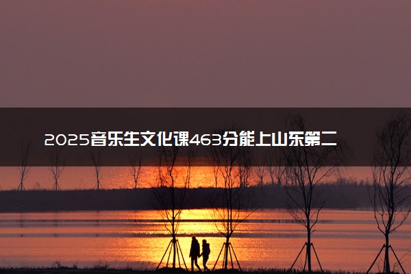 2025音乐生文化课463分能上山东第二医科大学吗