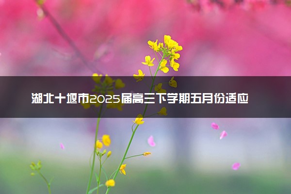 湖北十堰市2025届高三下学期五月份适应性考试试题及答案汇总