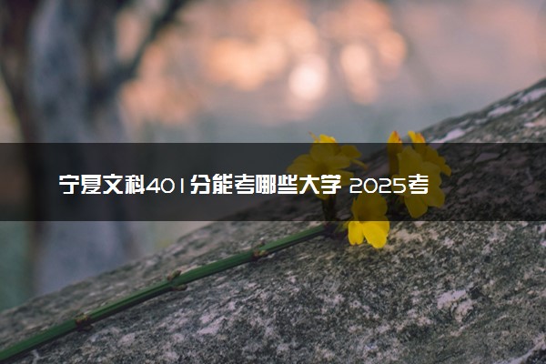 宁夏文科401分能考哪些大学 2025考生稳上的大学名单