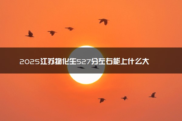 2025江苏物化生527分左右能上什么大学 可以报考的院校名单