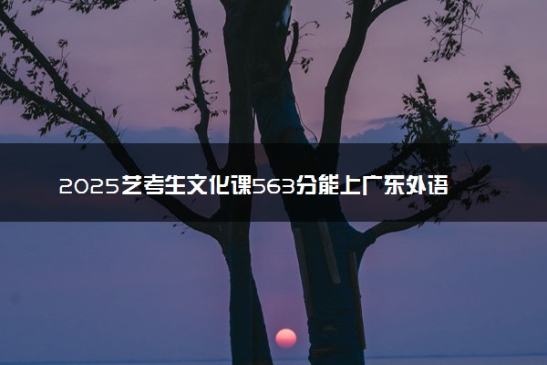 2025艺考生文化课563分能上广东外语外贸大学吗
