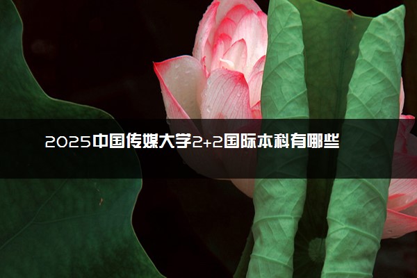 2025中国传媒大学2+2国际本科有哪些专业 学费多少钱