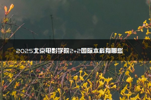 2025北京电影学院2+2国际本科有哪些专业 学费多少钱