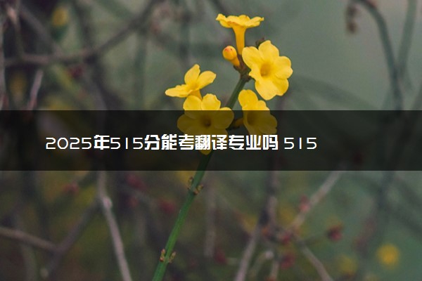 2025年515分能考翻译专业吗 515分翻译专业大学推荐