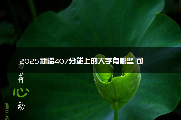 2025新疆407分能上的大学有哪些 可以报考院校名单