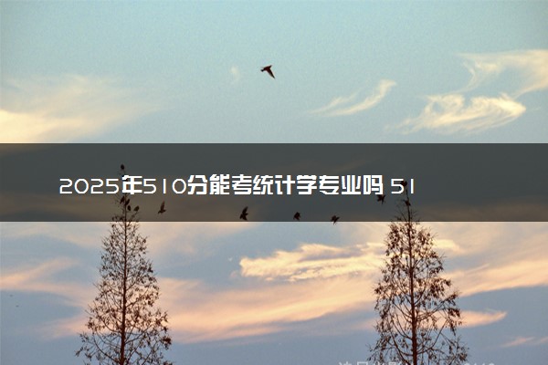 2025年510分能考统计学专业吗 510分统计学专业大学推荐