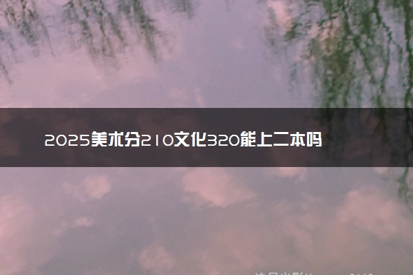 2025美术分210文化320能上二本吗 录取机会大吗