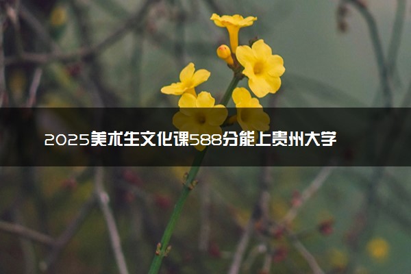2025美术生文化课588分能上贵州大学吗