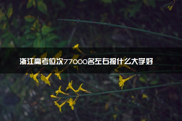 浙江高考位次77000名左右报什么大学好（2025年参考）