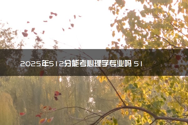 2025年512分能考心理学专业吗 512分心理学专业大学推荐