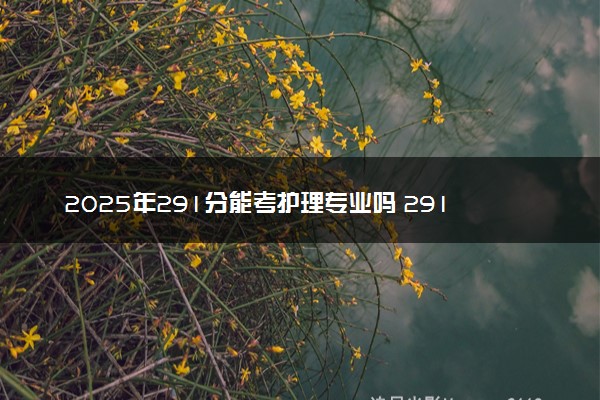 2025年291分能考护理专业吗 291分护理专业大学推荐