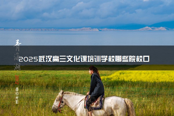 2025武汉高三文化课培训学校哪些院校口碑好