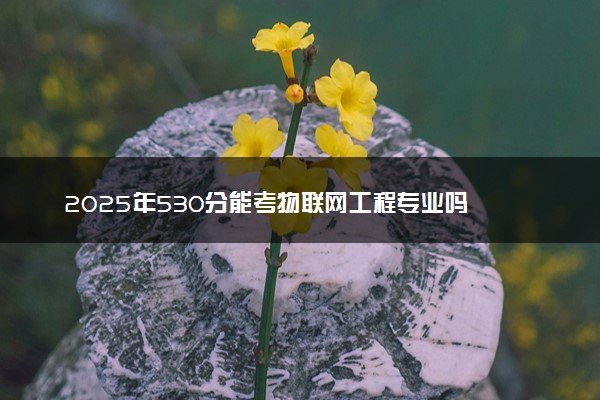 2025年530分能考物联网工程专业吗 530分物联网工程专业大学推荐