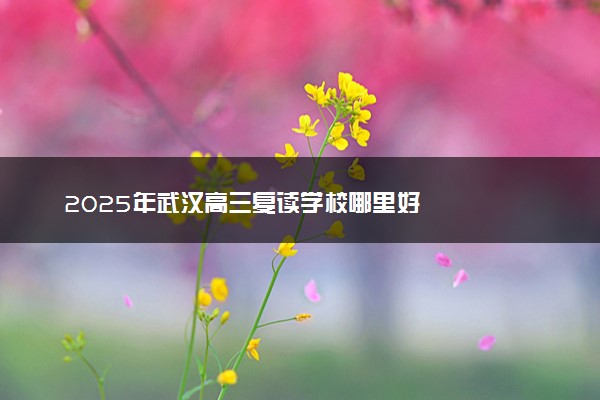 2025年武汉高三复读学校哪里好