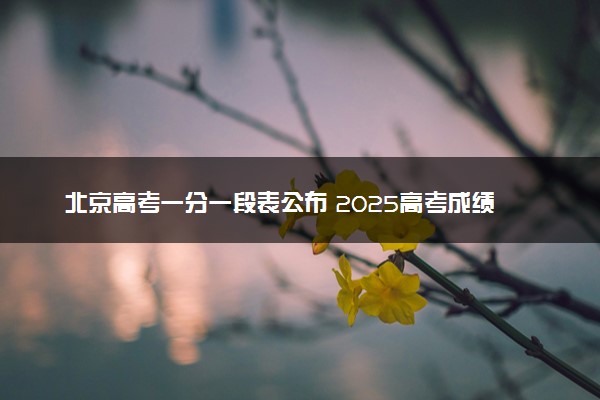 北京高考一分一段表公布 2025高考成绩位次排名查询