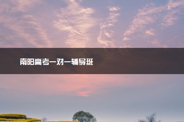 南阳高考一对一辅导班