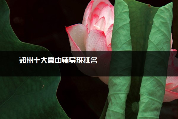 郑州十大高中辅导班排名
