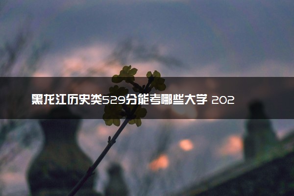 黑龙江历史类529分能考哪些大学 2025考生稳上的大学名单