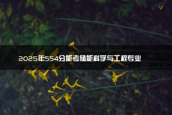 2025年554分能考储能科学与工程专业吗 554分储能科学与工程专业大学推荐