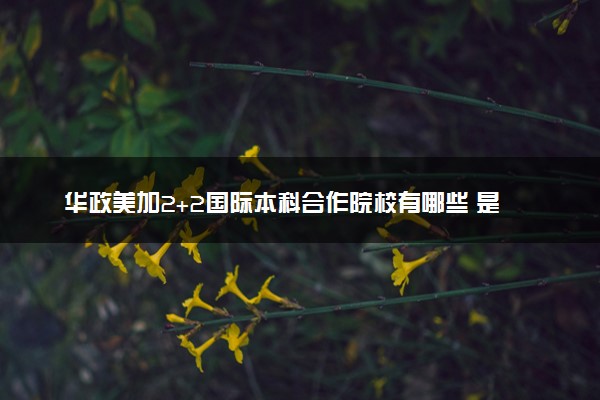 华政美加2+2国际本科合作院校有哪些 是否被教育部认可