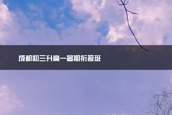 成都初三升高一暑期衔接班