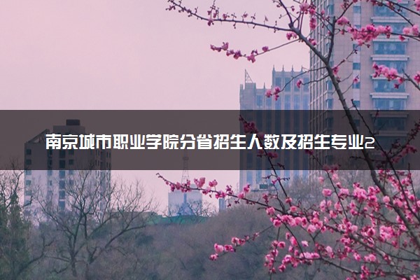 南京城市职业学院分省招生人数及招生专业2025年招生计划参考