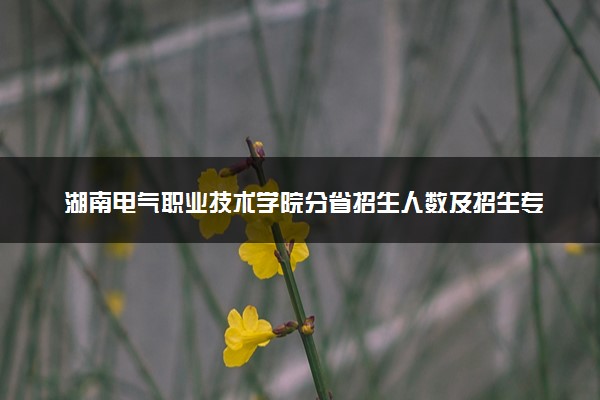 湖南电气职业技术学院分省招生人数及招生专业2025年招生计划参考
