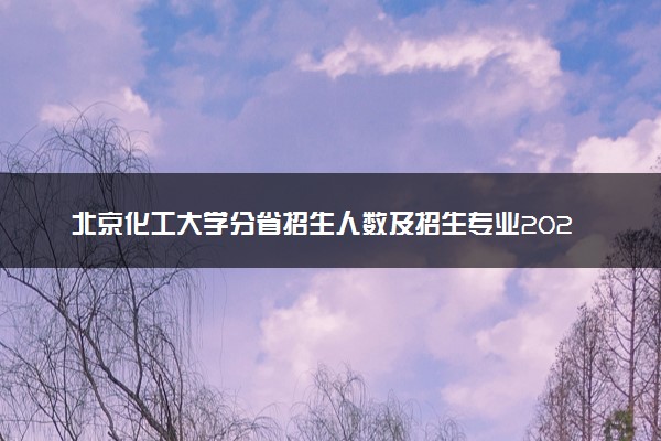 北京化工大学分省招生人数及招生专业2025年招生计划参考