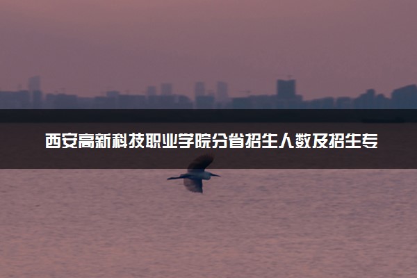 西安高新科技职业学院分省招生人数及招生专业2025年招生计划参考