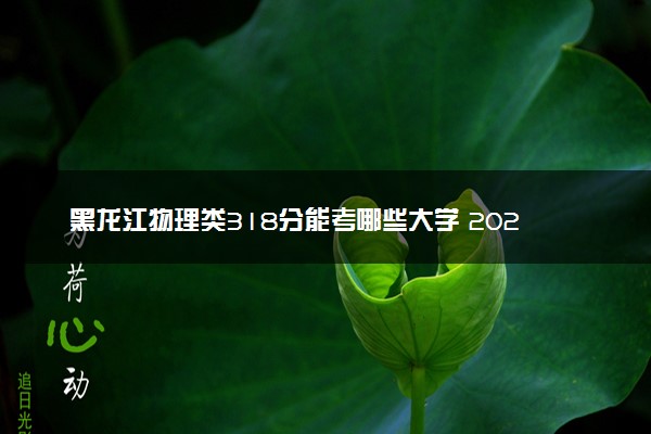 黑龙江物理类318分能考哪些大学 2025考生稳上的大学名单