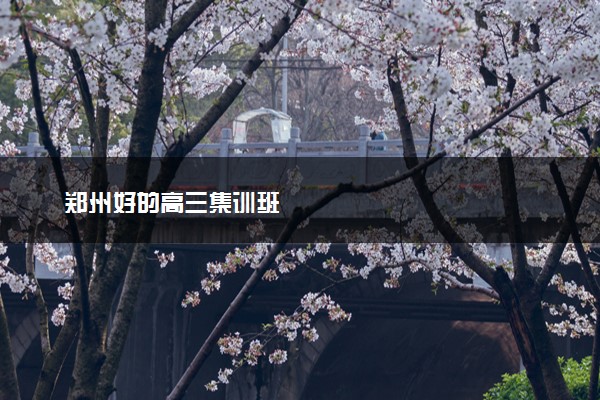 郑州好的高三集训班