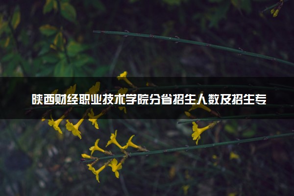 陕西财经职业技术学院分省招生人数及招生专业2025年招生计划参考