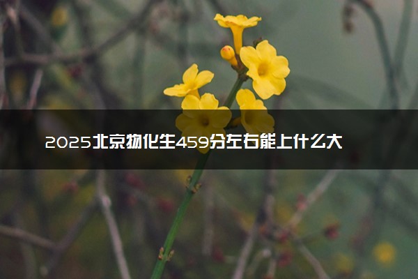 2025北京物化生459分左右能上什么大学 可以报考的院校名单