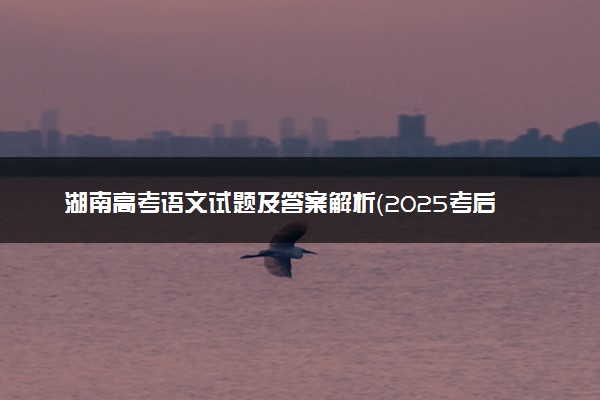 湖南高考语文试题及答案解析（2025考后更新）