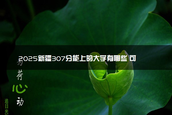 2025新疆307分能上的大学有哪些 可以报考院校名单
