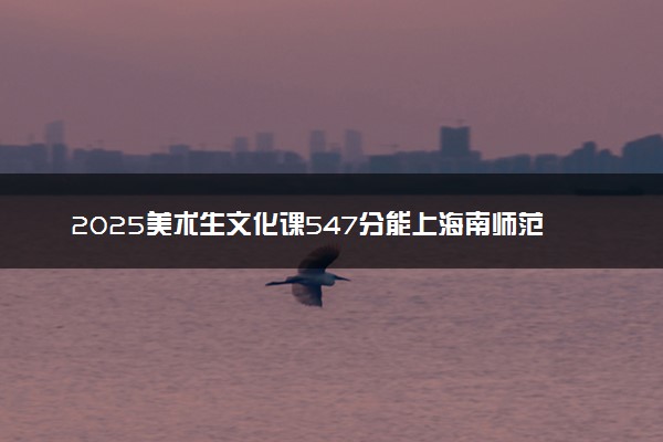 2025美术生文化课547分能上海南师范大学吗