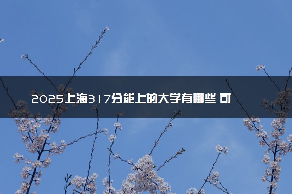 2025上海317分能上的大学有哪些 可以报考院校名单