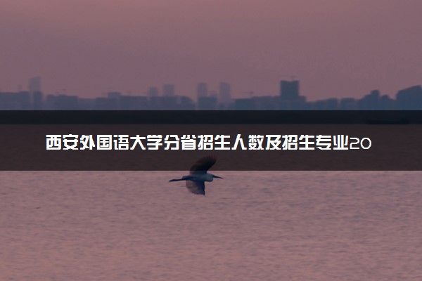 西安外国语大学分省招生人数及招生专业2025年招生计划参考