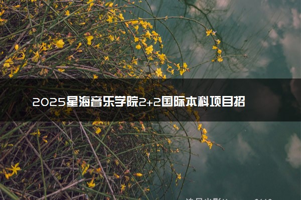 2025星海音乐学院2+2国际本科项目招生简章 收费标准一览