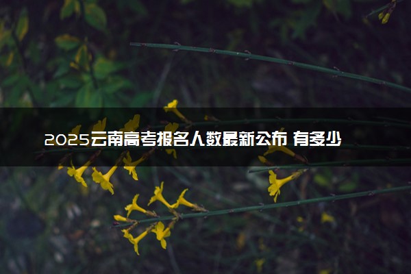 2025云南高考报名人数最新公布 有多少考生参加