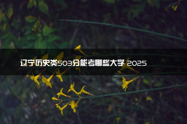 辽宁历史类503分能考哪些大学 2025考生稳上的大学名单