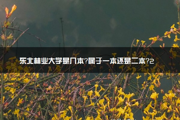 东北林业大学是几本？属于一本还是二本？2025年分数线预测及报考建议