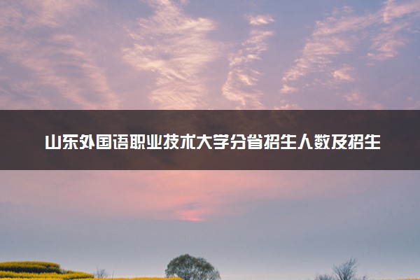 山东外国语职业技术大学分省招生人数及招生专业2025年招生计划参考