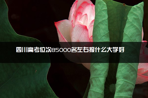 四川高考位次85000名左右报什么大学好（2025年参考）