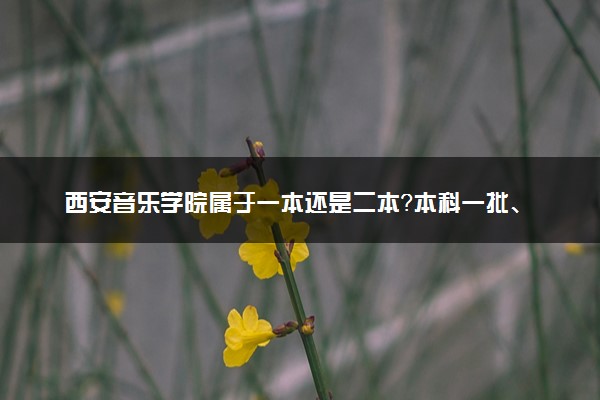西安音乐学院属于一本还是二本？本科一批、二批的区别及报考建议